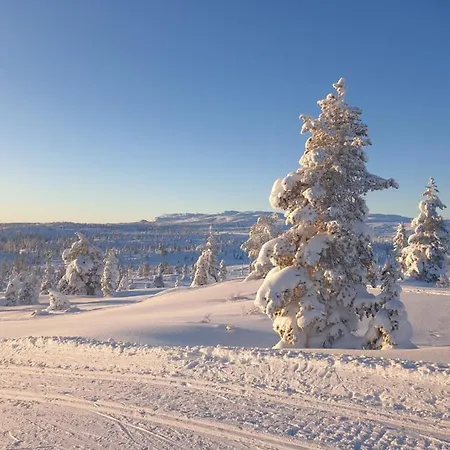 Rehabilitert Hytte Pa Blefjell Notodden
